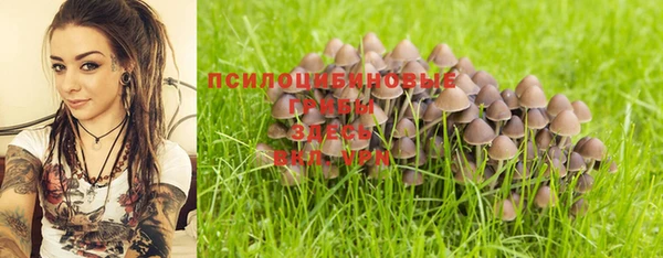 спиды Алексин