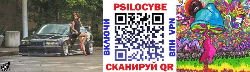магазин Чебоксары Псилоцибиновые грибы ЛСД